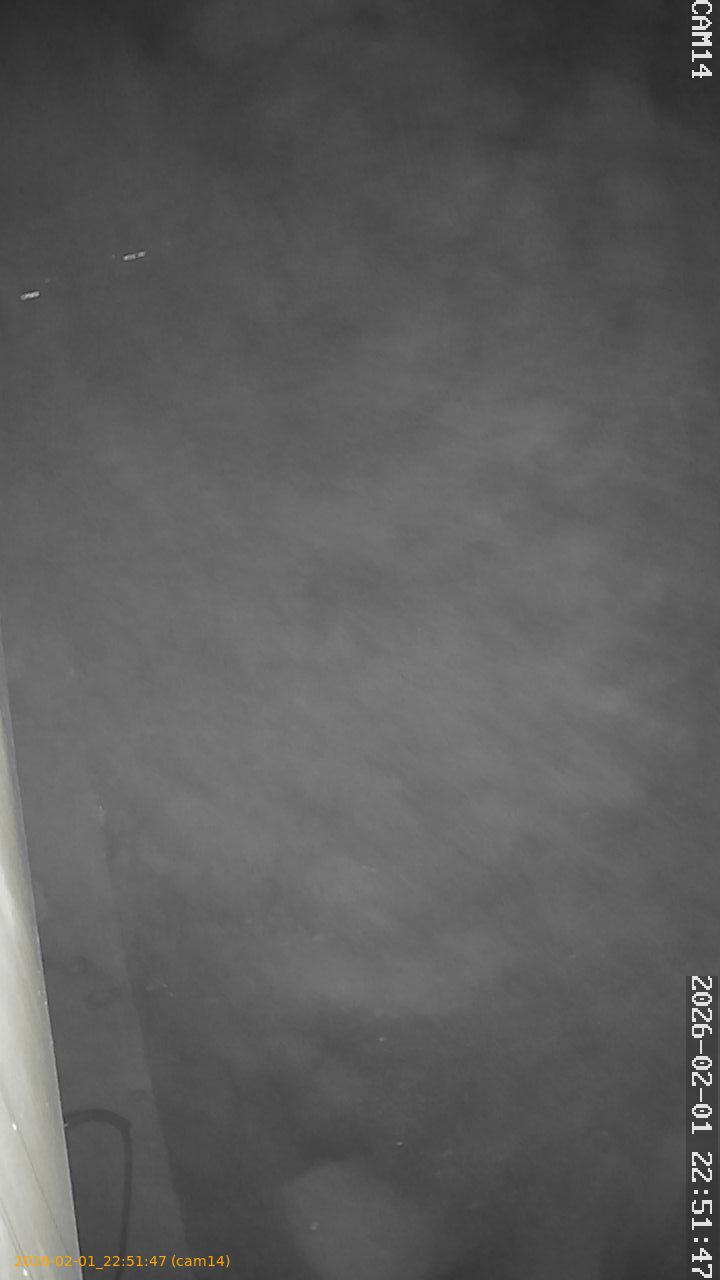 thumbnail_20260201225147