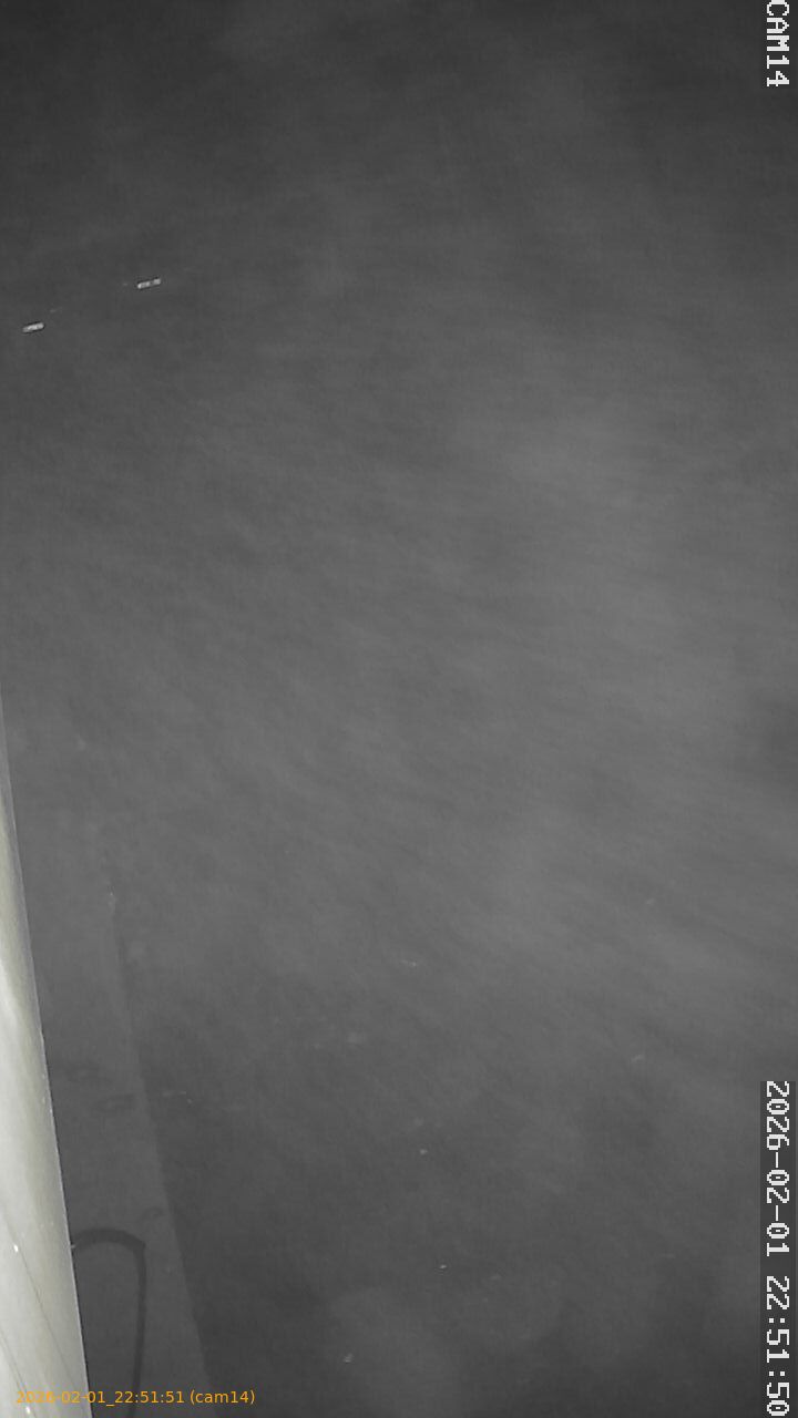 thumbnail_20260201225151