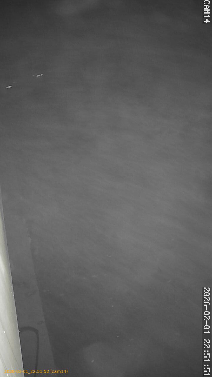 thumbnail_20260201225152