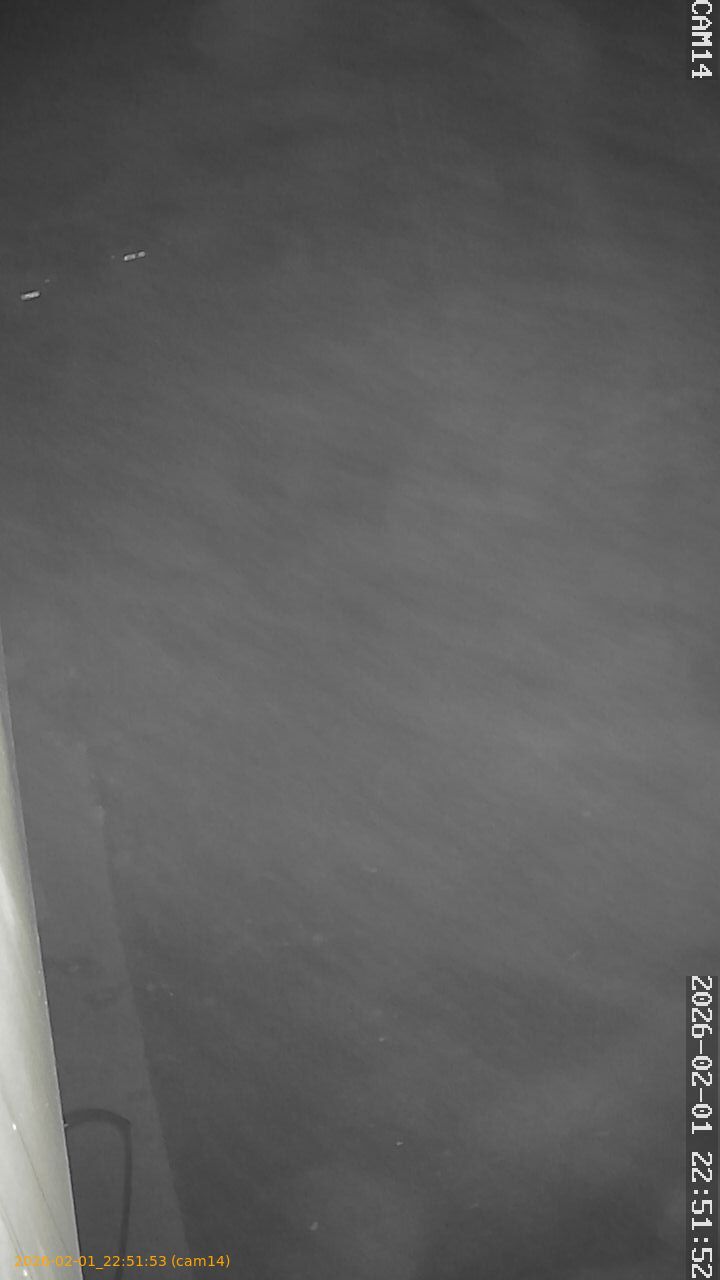 thumbnail_20260201225153