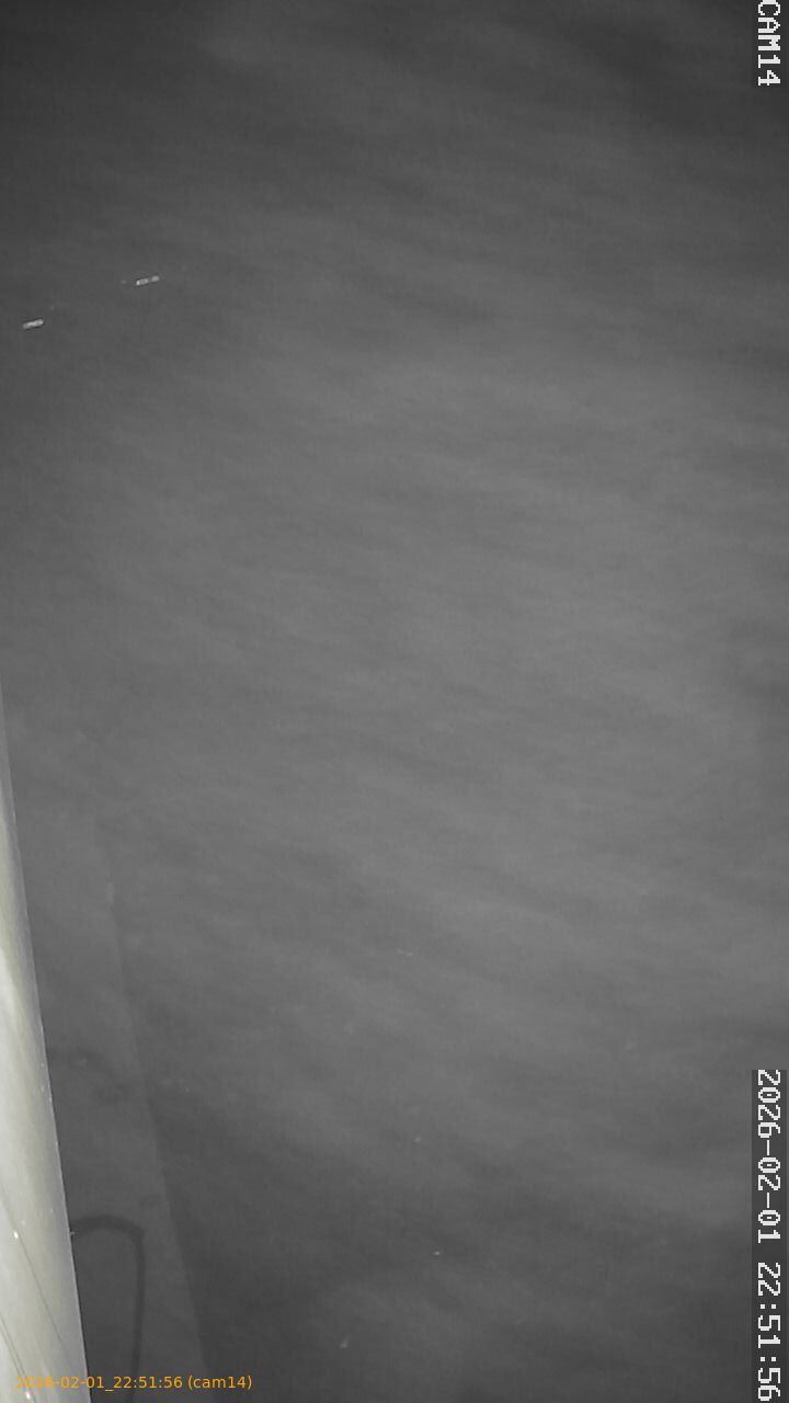 thumbnail_20260201225156