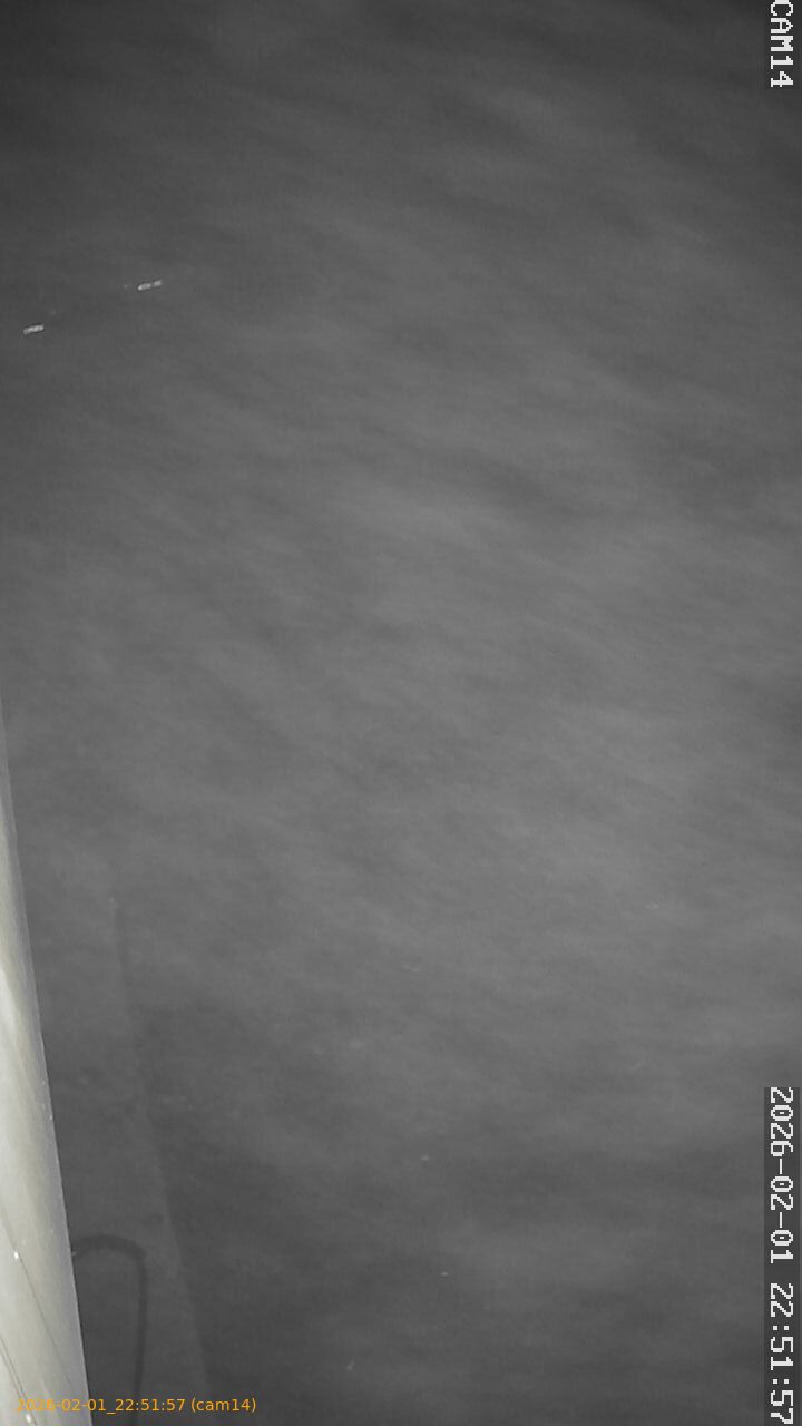 thumbnail_20260201225157