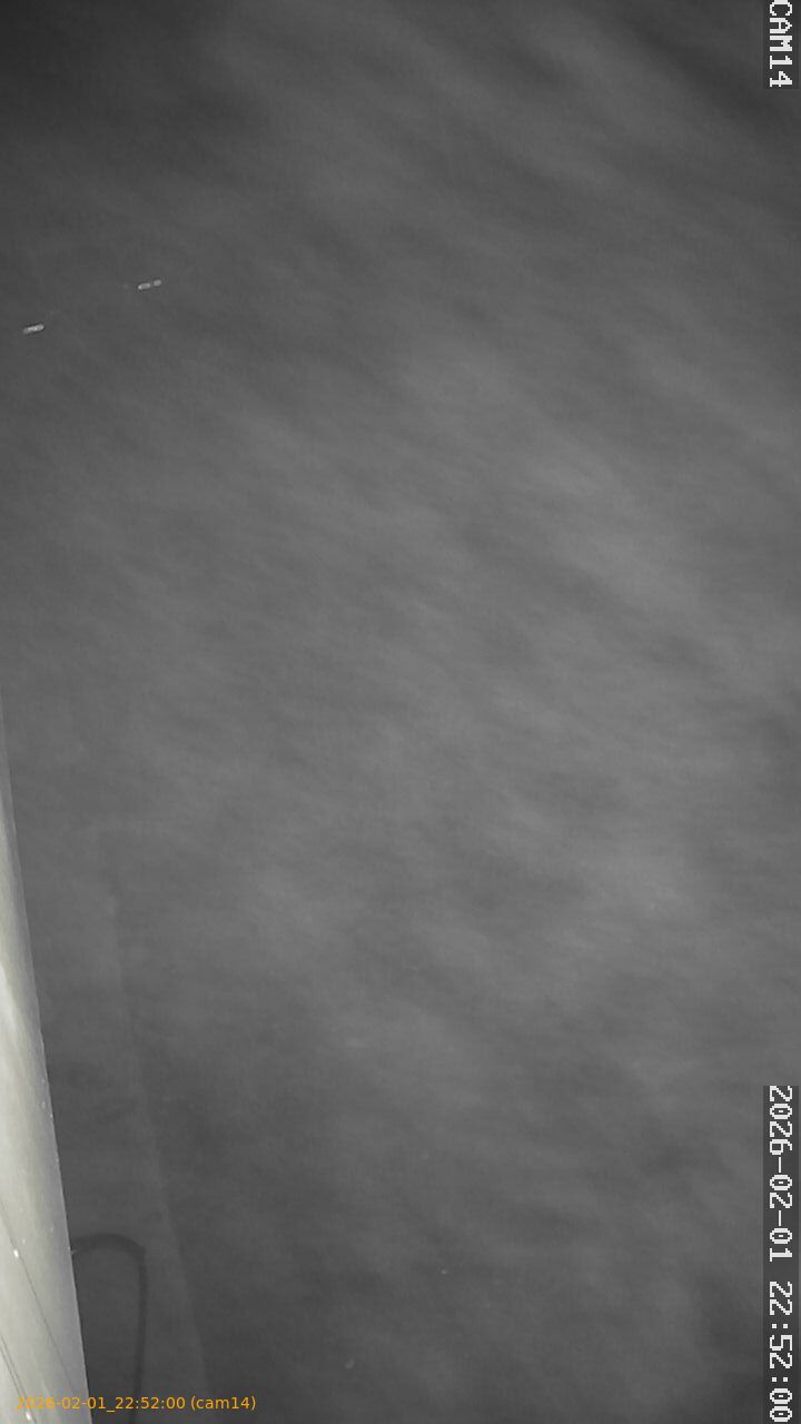 thumbnail_20260201225200