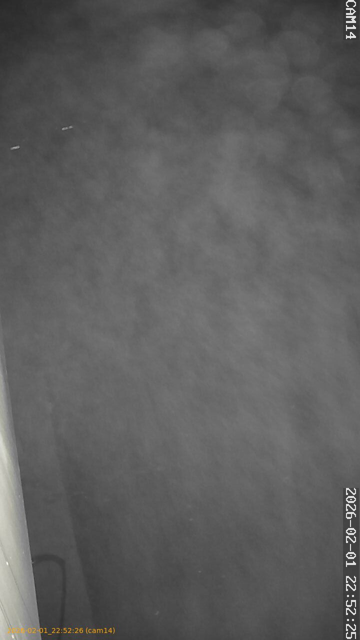 thumbnail_20260201225226