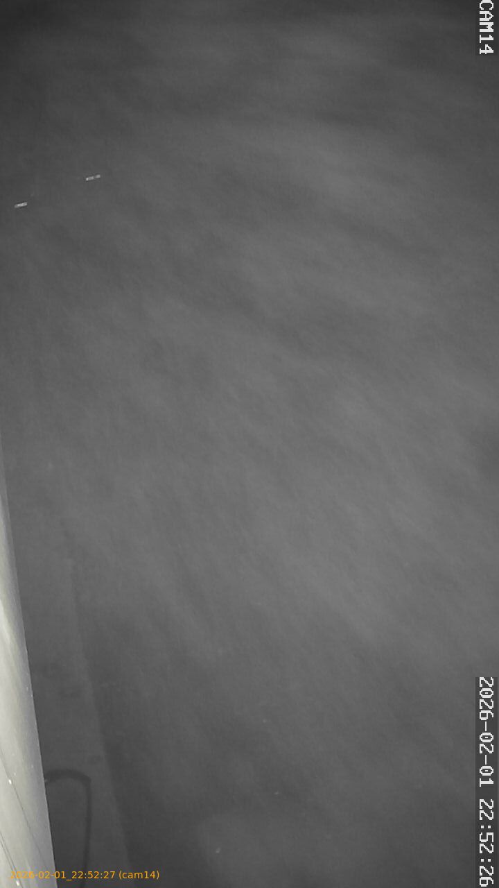 thumbnail_20260201225227