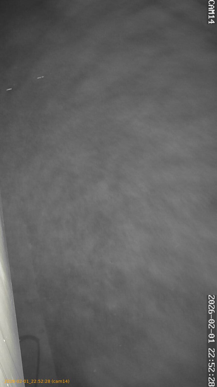 thumbnail_20260201225228