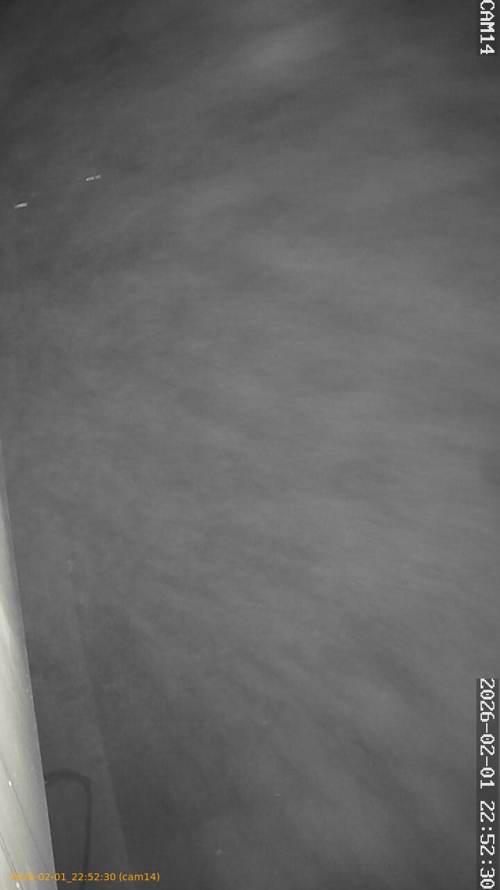 thumbnail_20260201225230