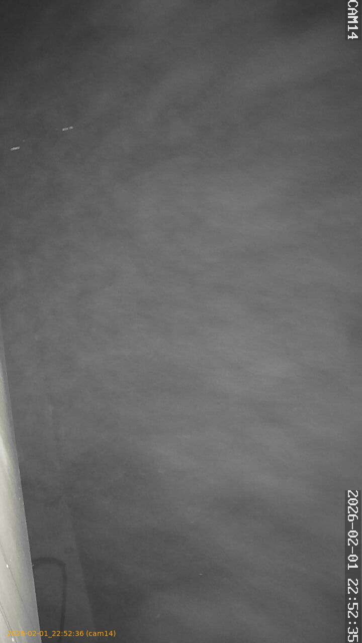 thumbnail_20260201225236