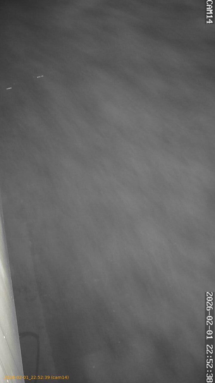 thumbnail_20260201225239