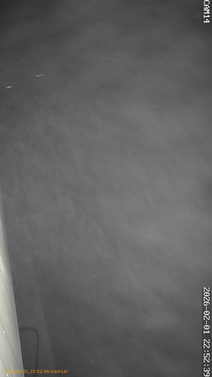 thumbnail_20260201225240