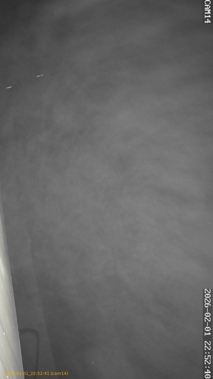 thumbnail_20260201225241