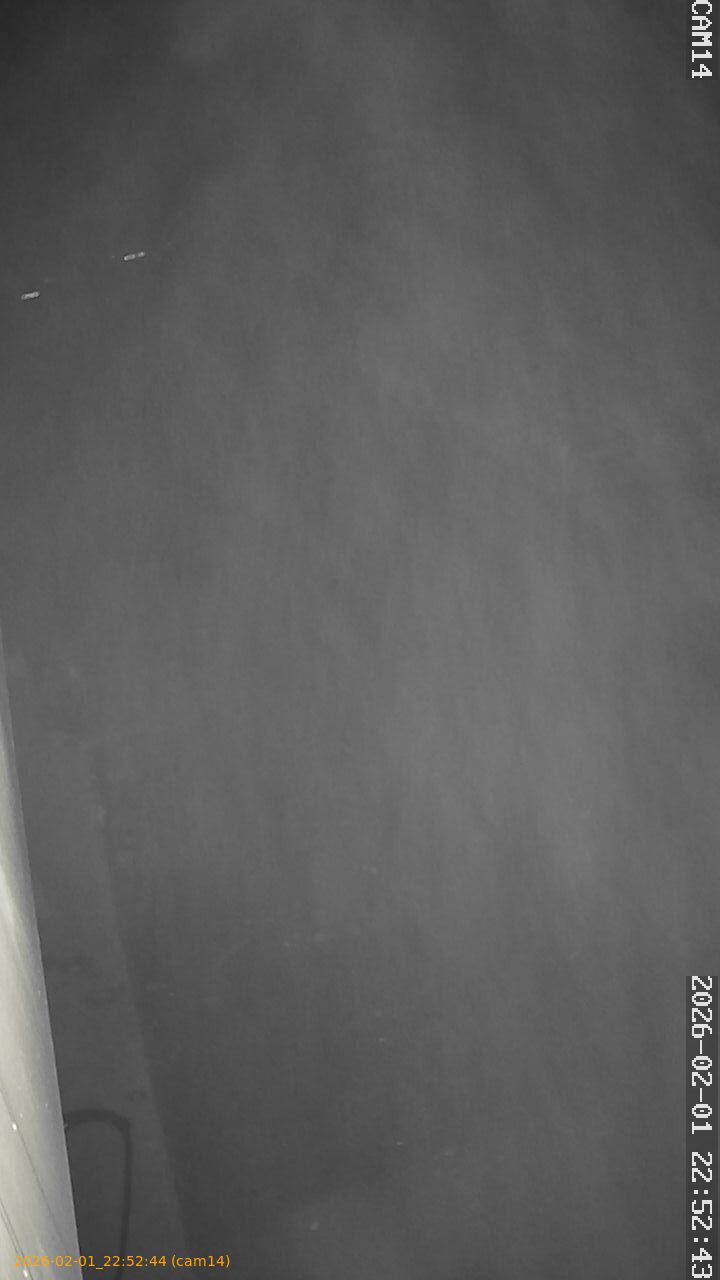 thumbnail_20260201225244