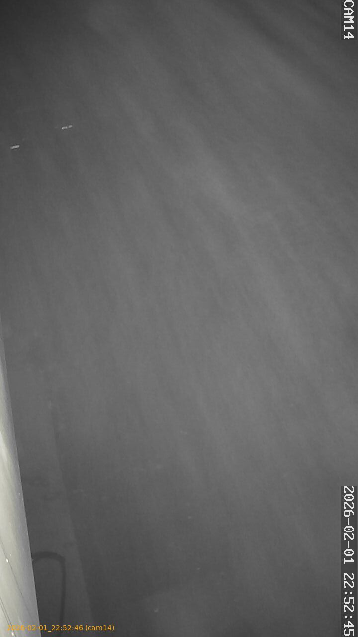 thumbnail_20260201225246