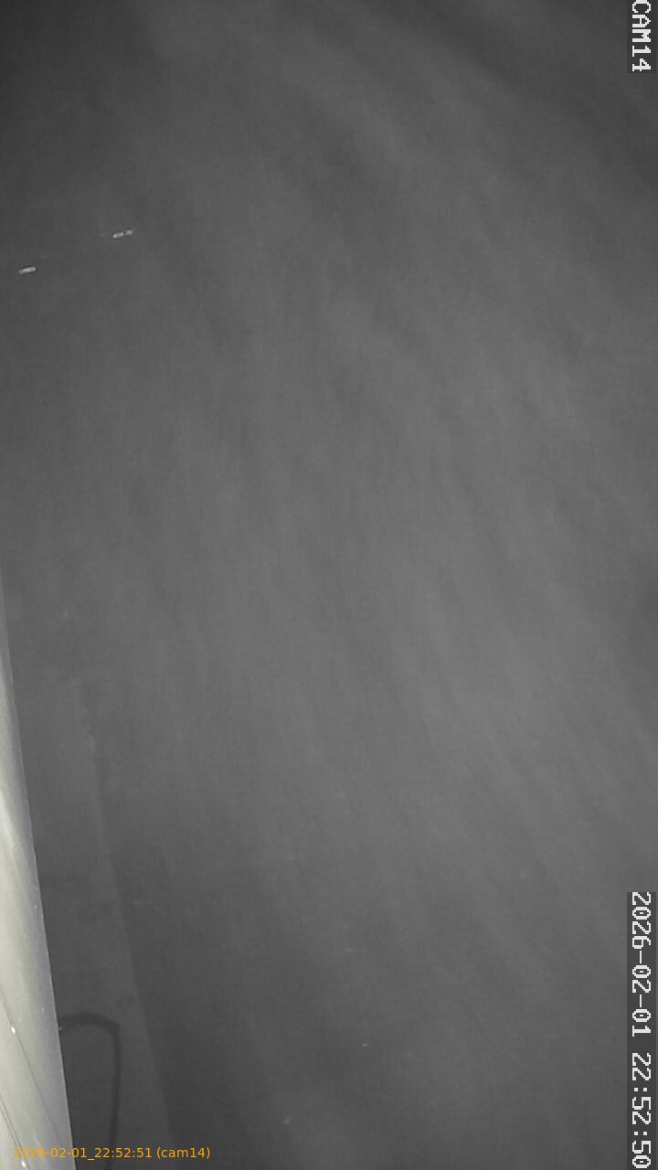 thumbnail_20260201225251