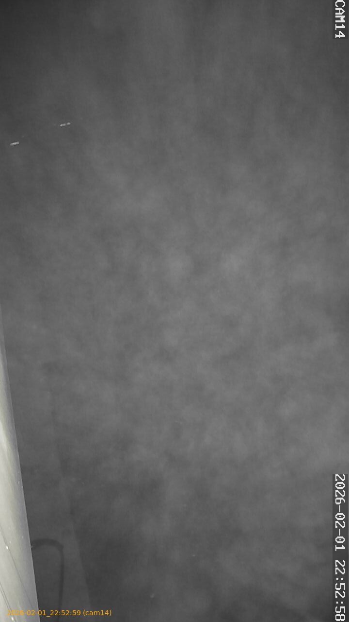 thumbnail_20260201225259