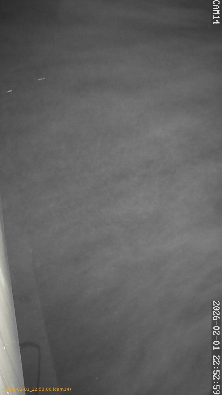 thumbnail_20260201225300