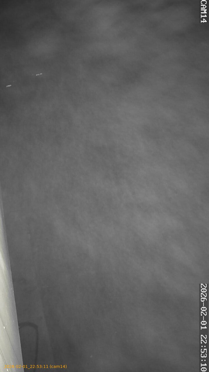 thumbnail_20260201225311