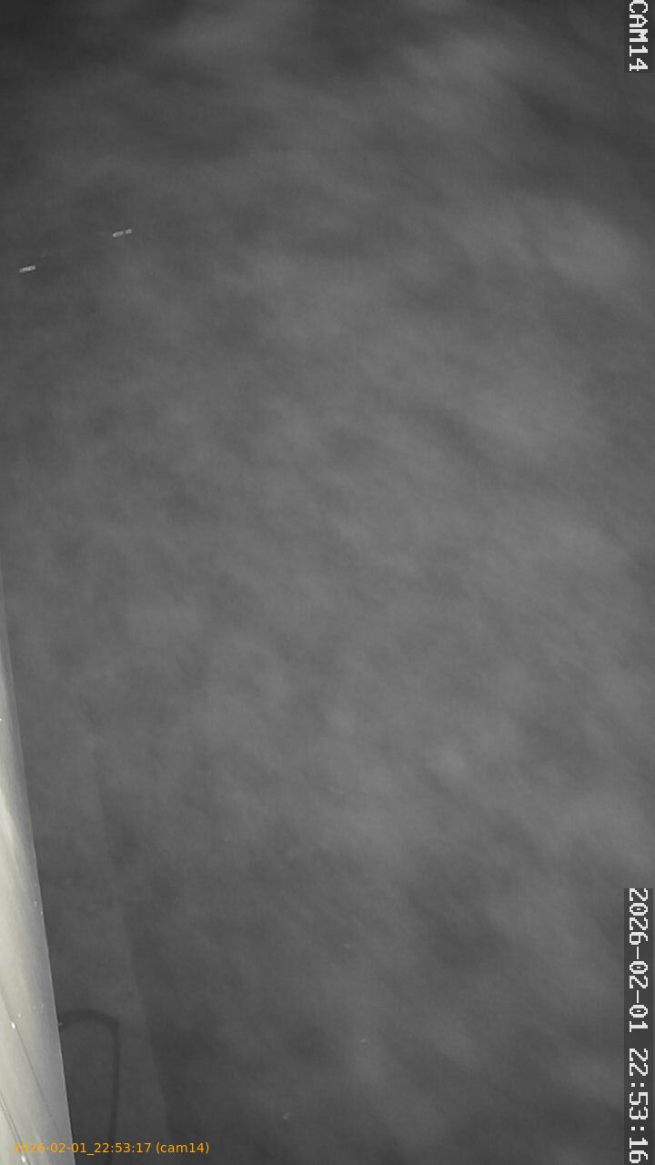 thumbnail_20260201225317