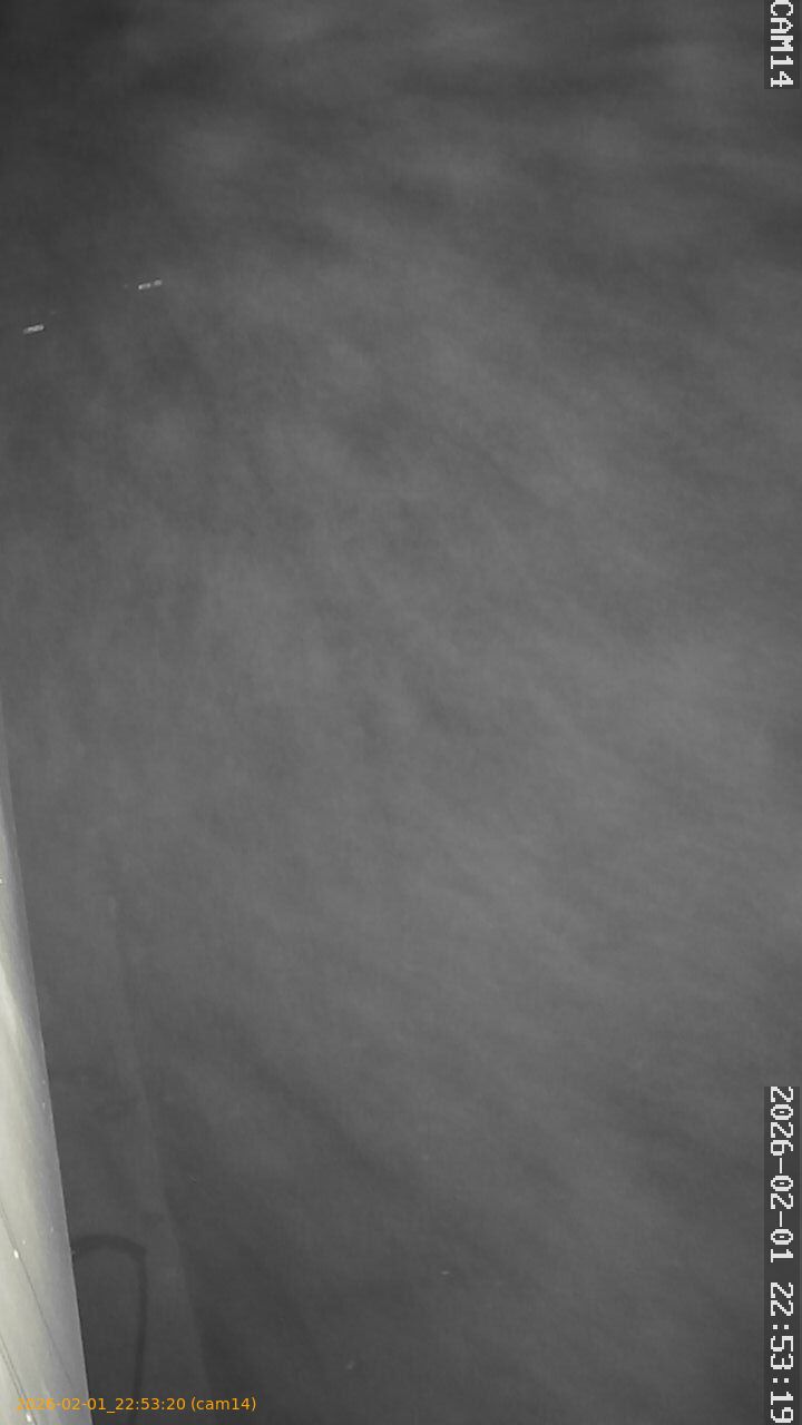 thumbnail_20260201225320