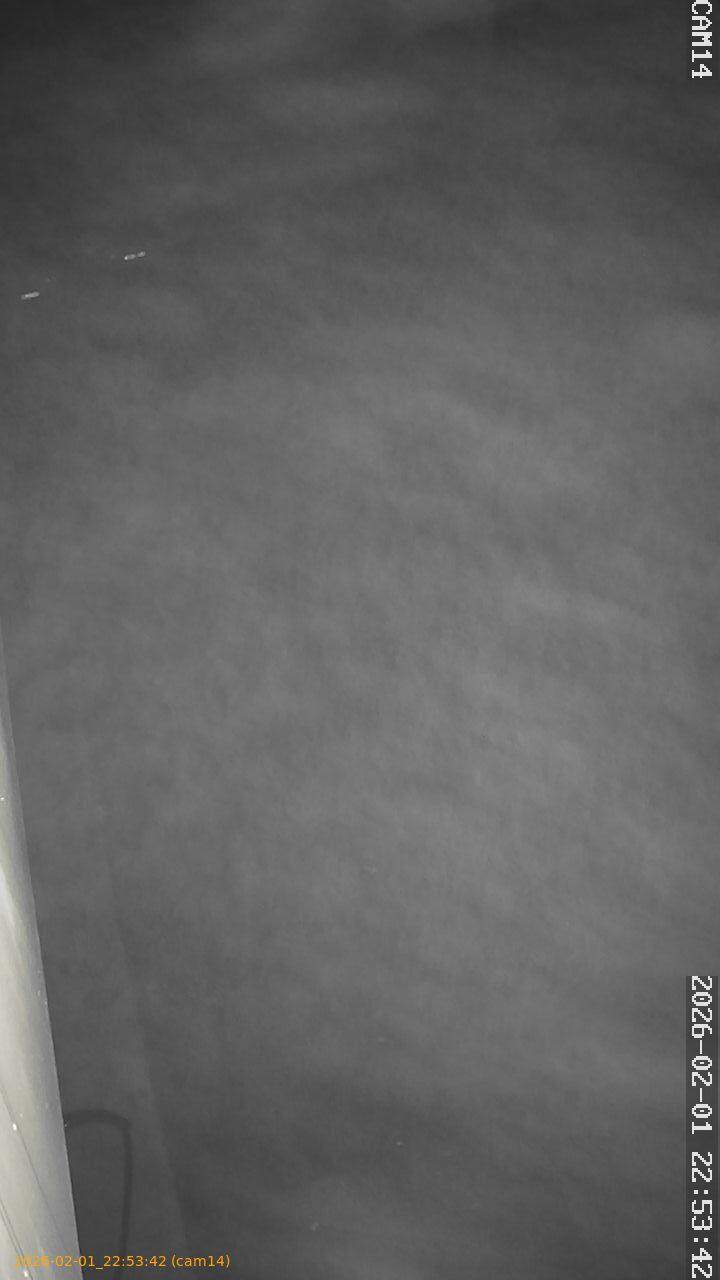 thumbnail_20260201225342