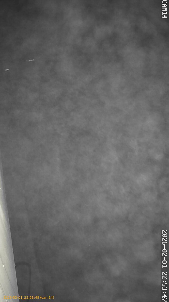 thumbnail_20260201225348