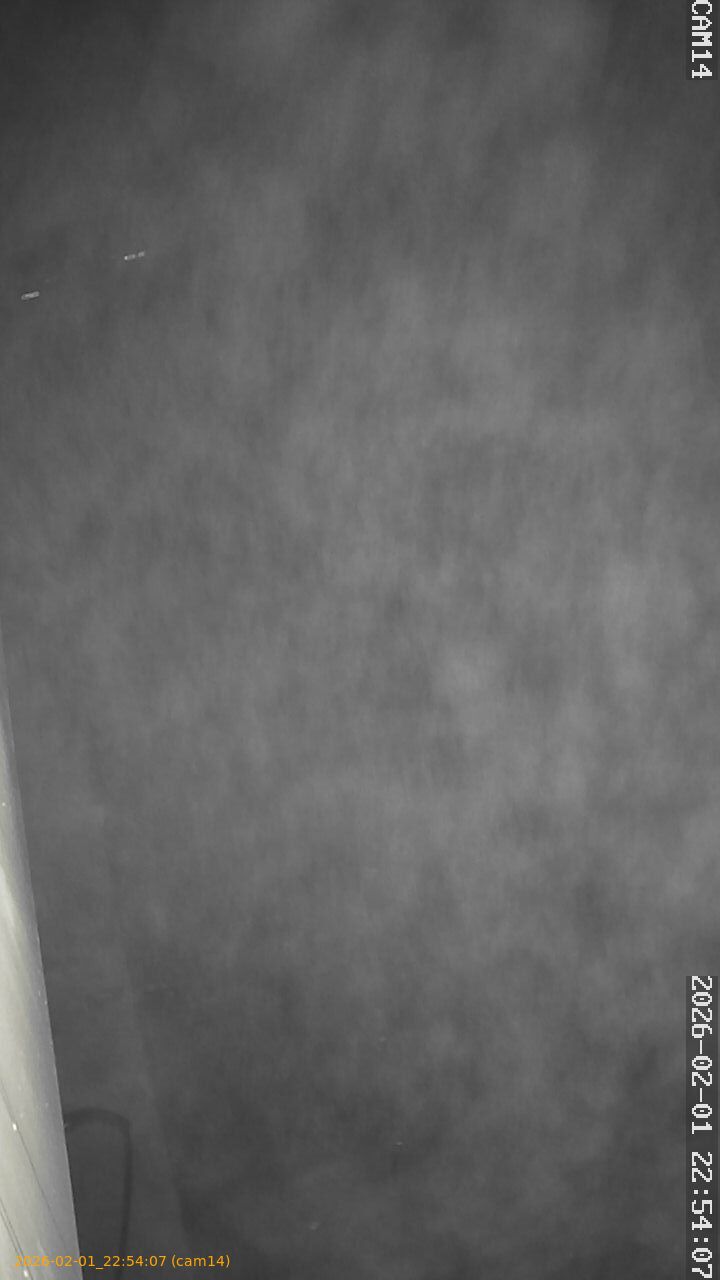 thumbnail_20260201225407