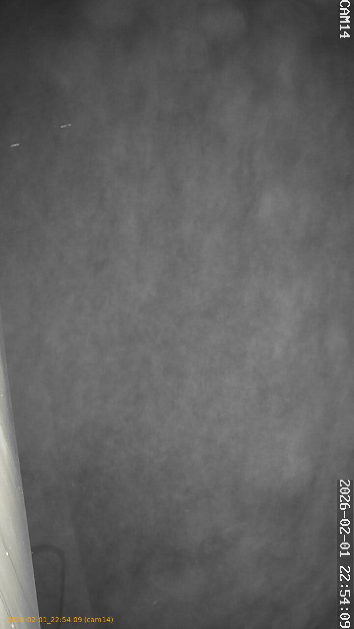 thumbnail_20260201225409