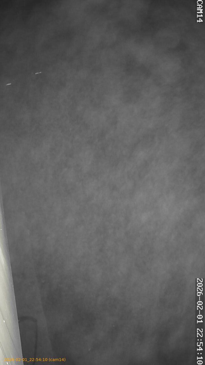 thumbnail_20260201225410