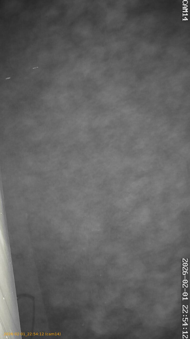 thumbnail_20260201225412