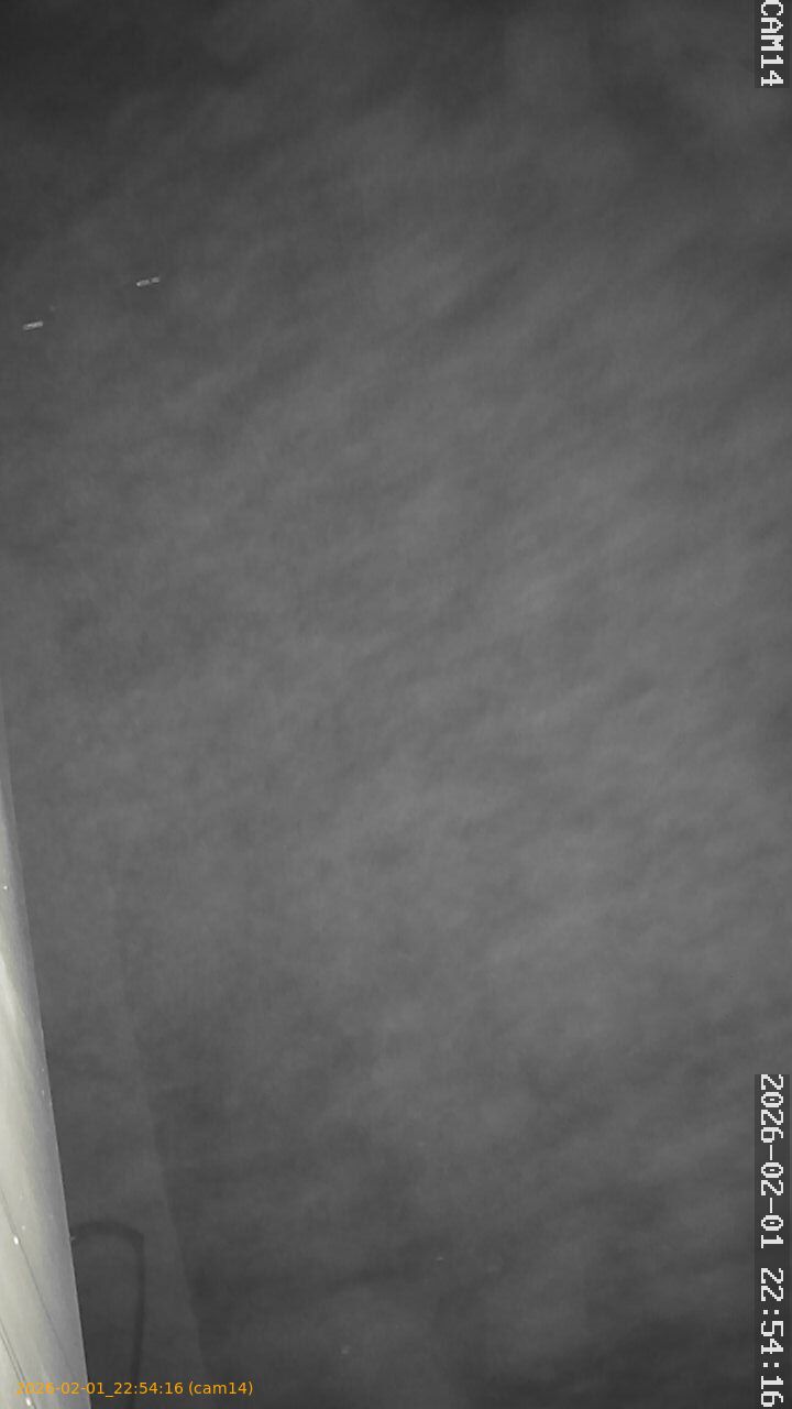 thumbnail_20260201225416