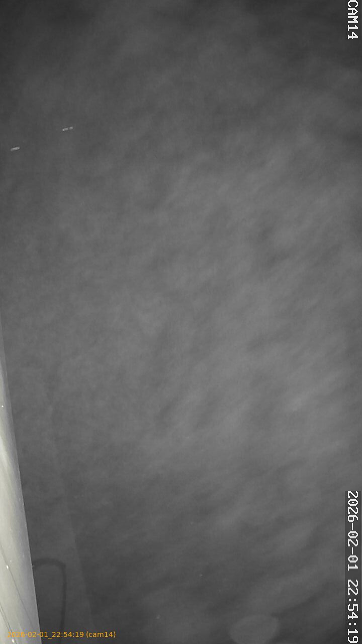 thumbnail_20260201225419