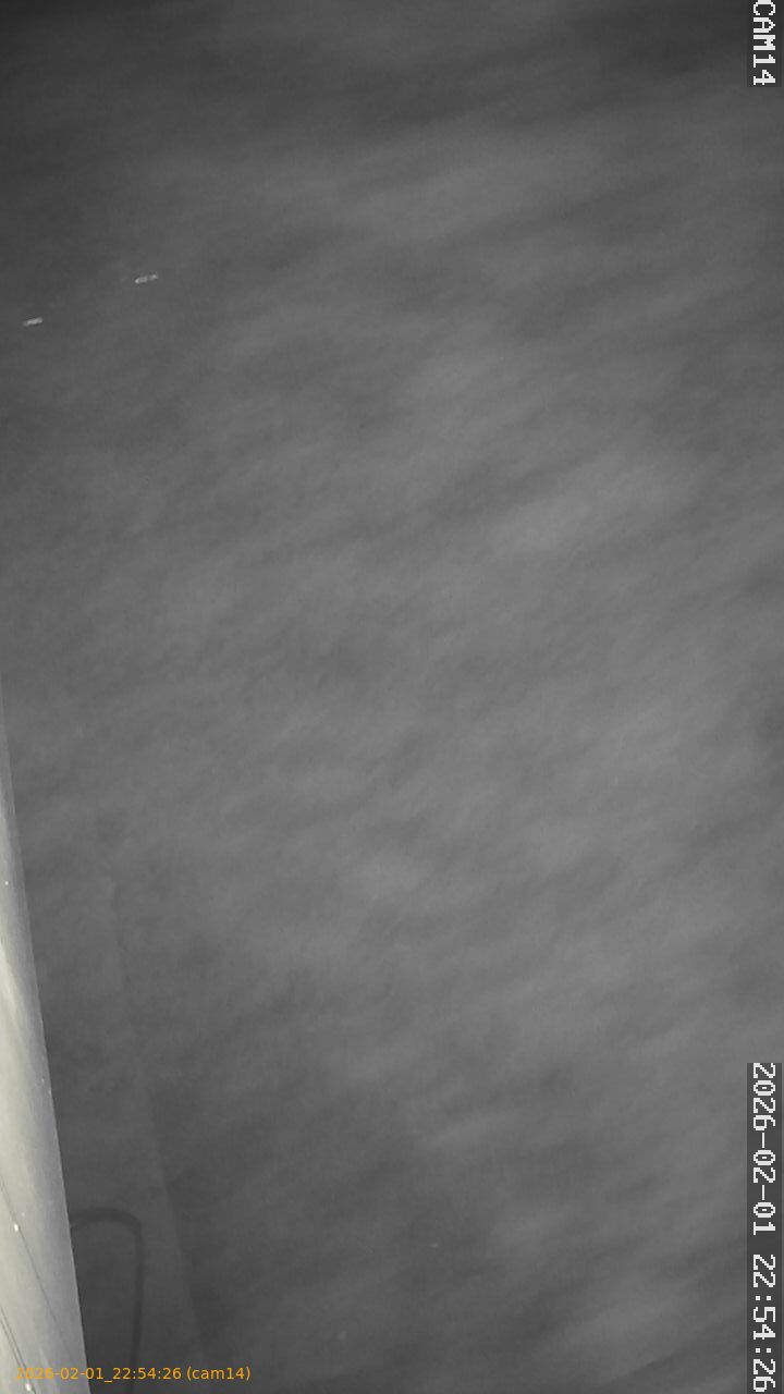 thumbnail_20260201225426