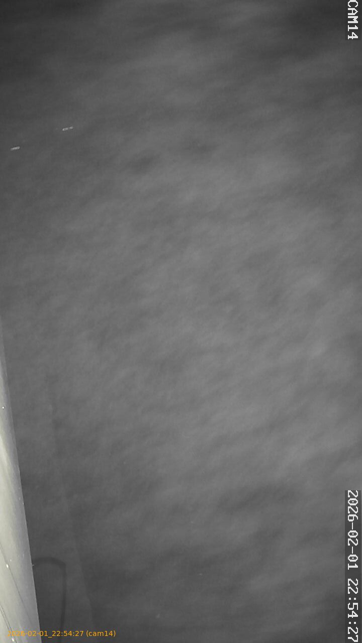 thumbnail_20260201225427