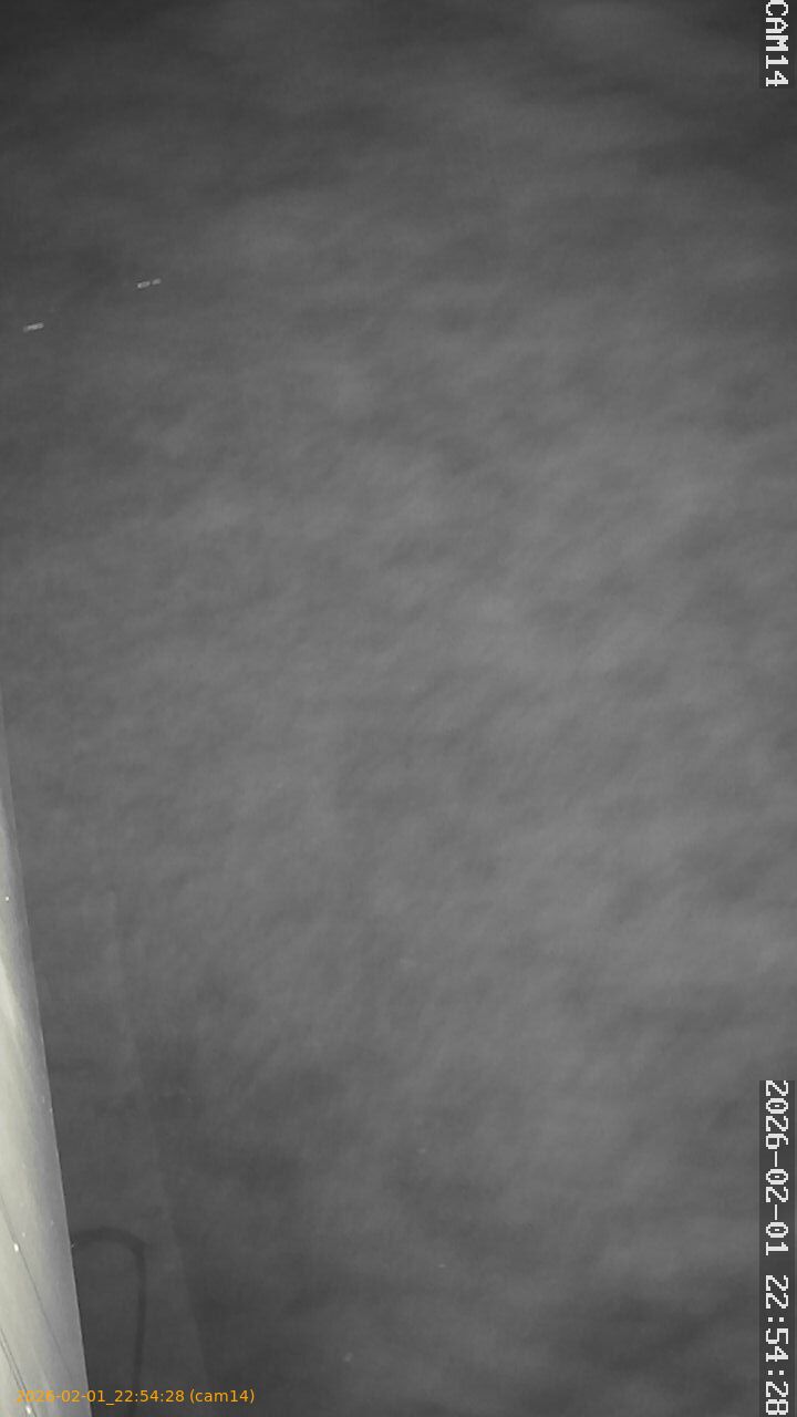 thumbnail_20260201225428