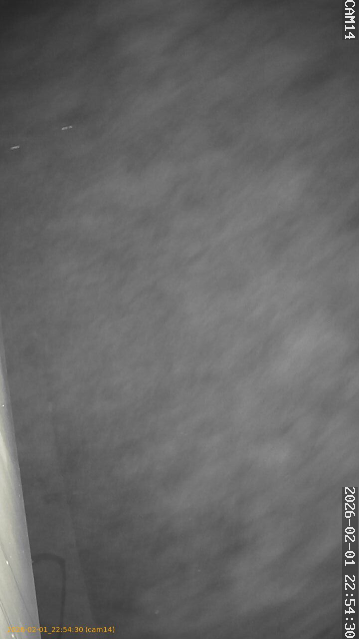 thumbnail_20260201225430