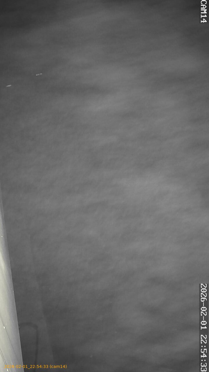 thumbnail_20260201225433