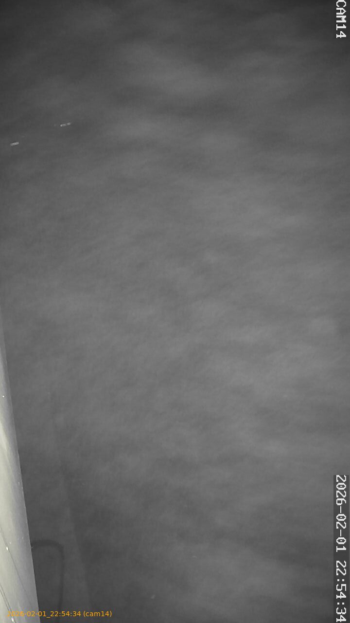 thumbnail_20260201225434