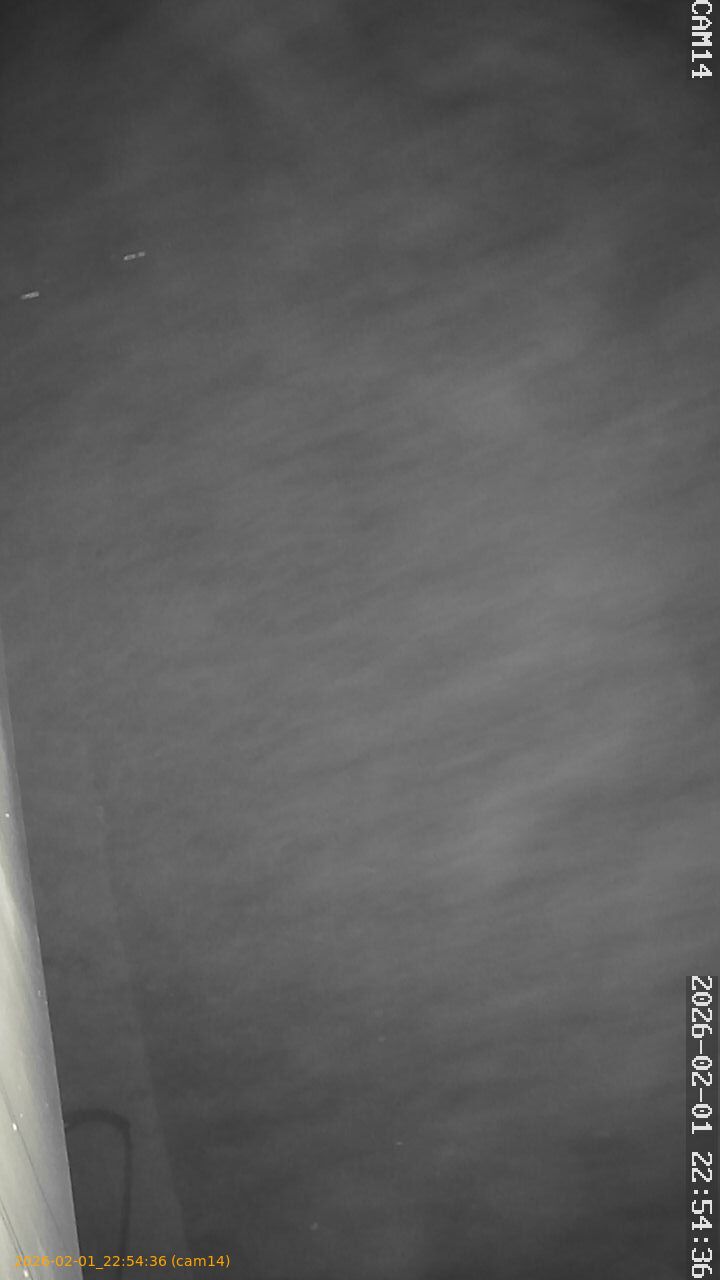 thumbnail_20260201225436