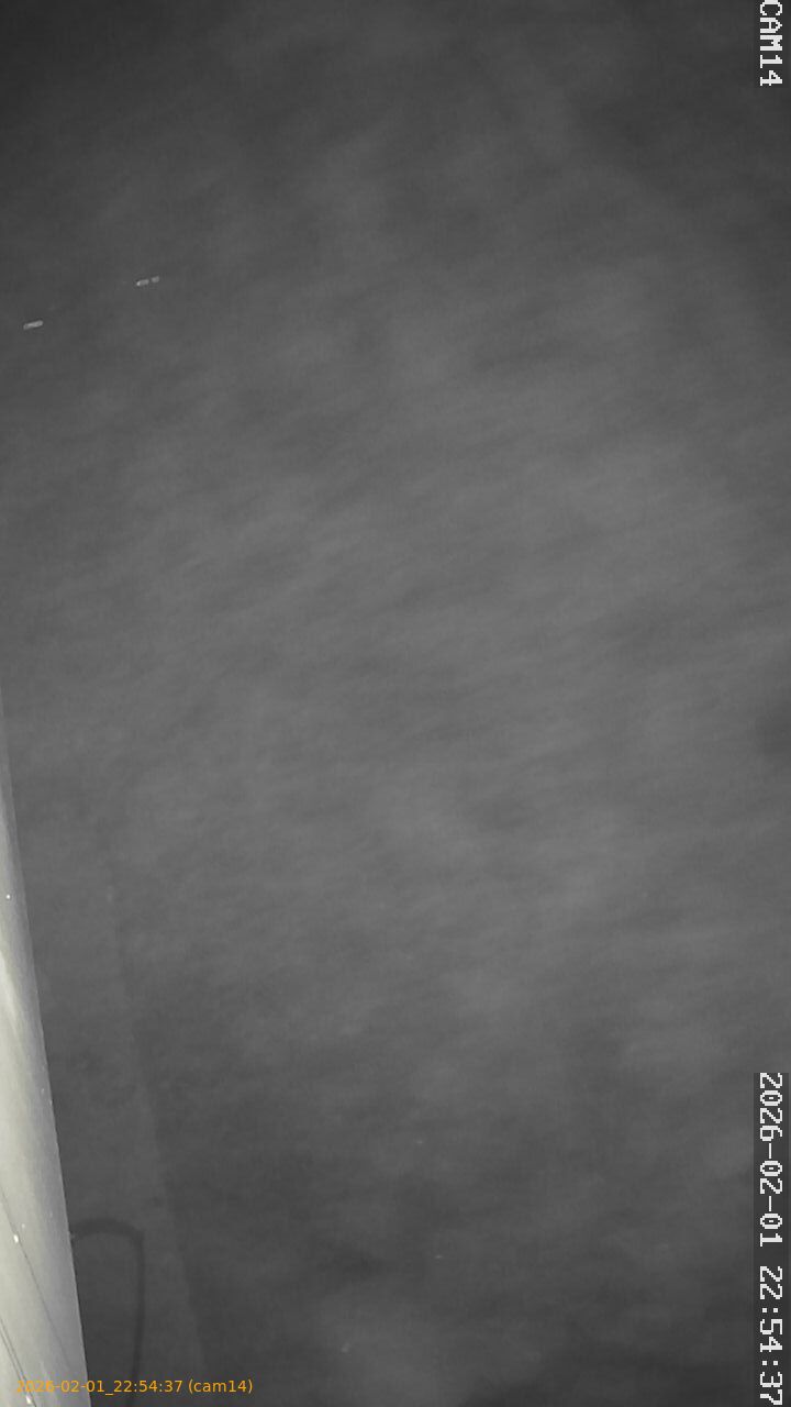 thumbnail_20260201225437