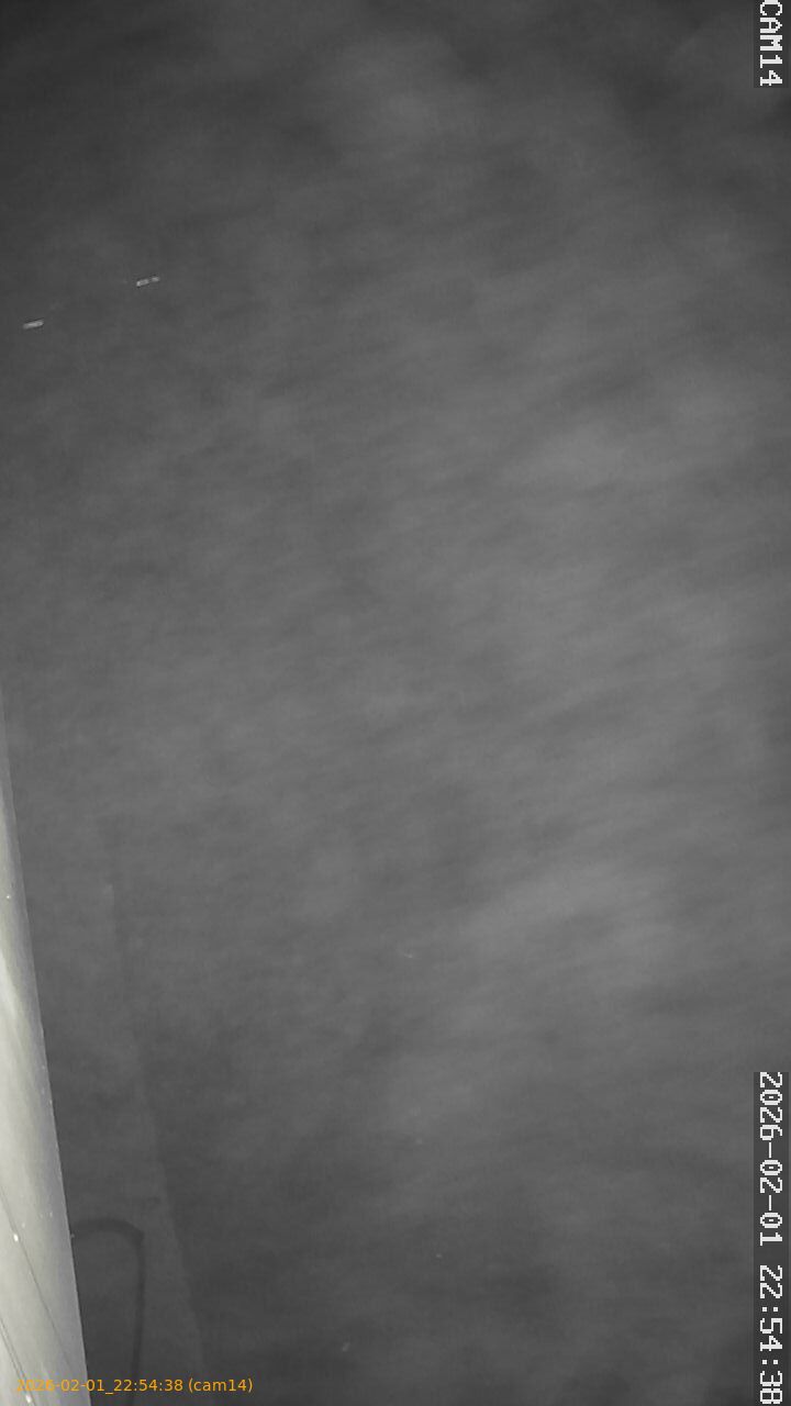 thumbnail_20260201225438