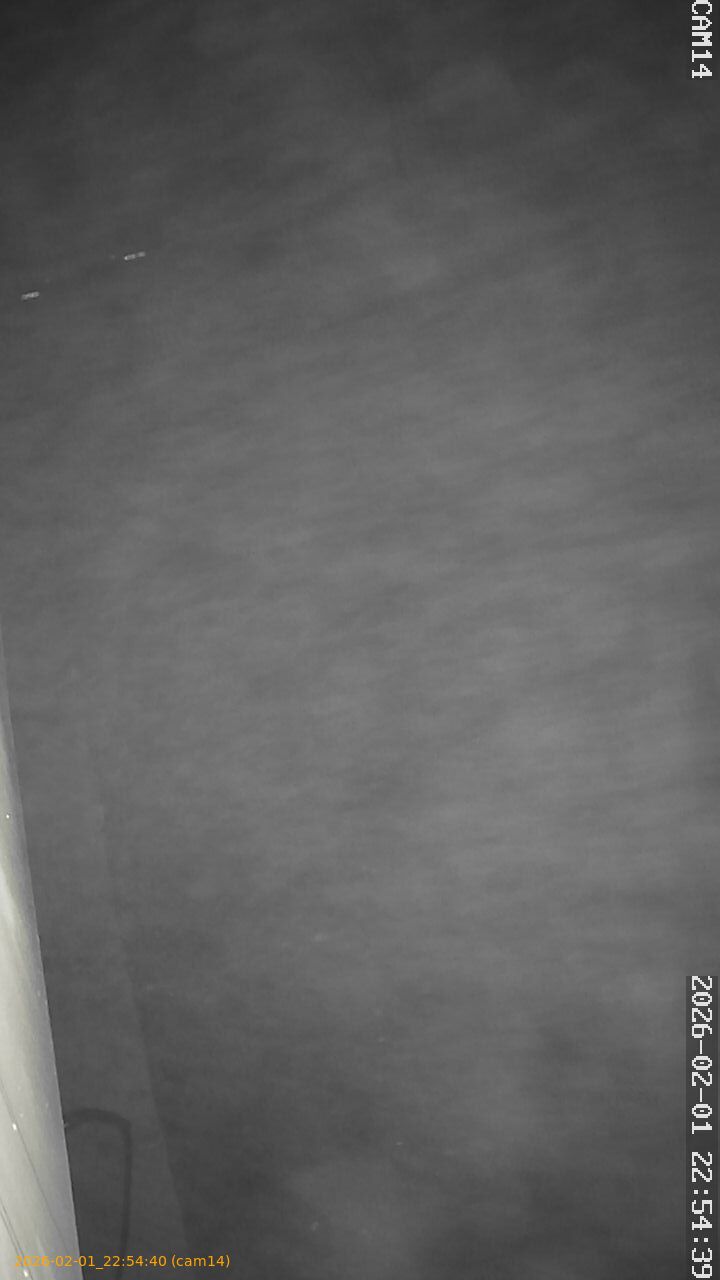 thumbnail_20260201225439