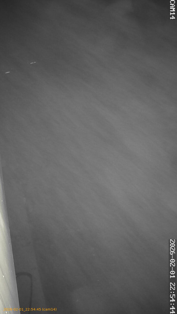 thumbnail_20260201225444