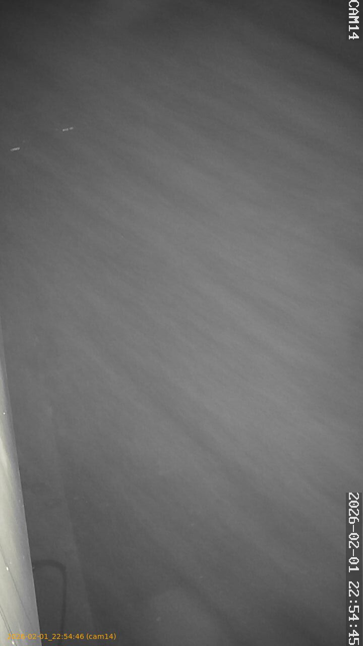 thumbnail_20260201225445