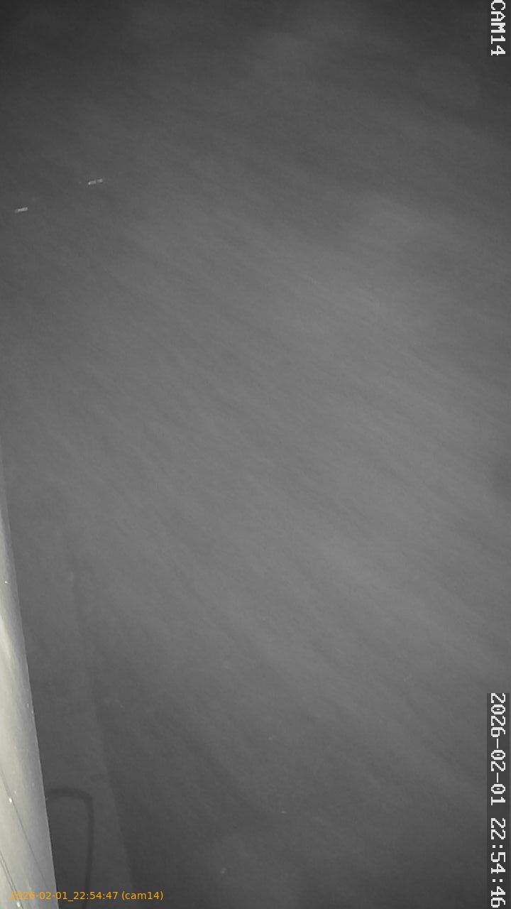 thumbnail_20260201225447