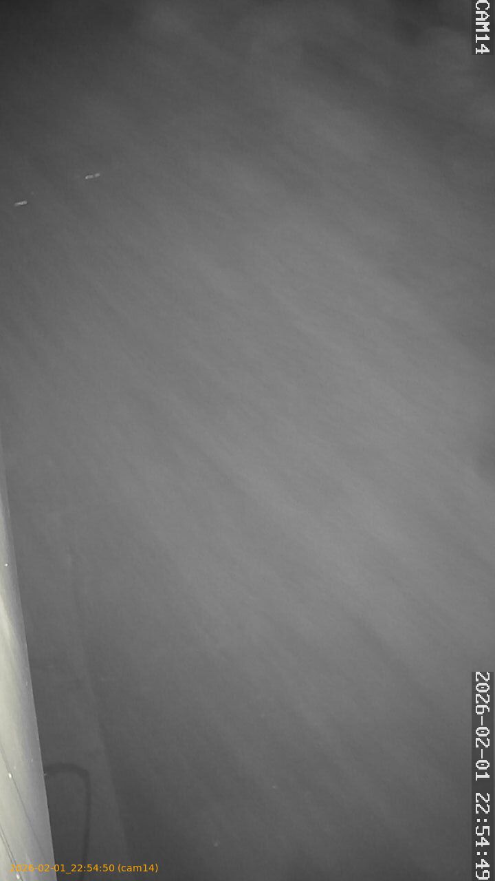 thumbnail_20260201225450