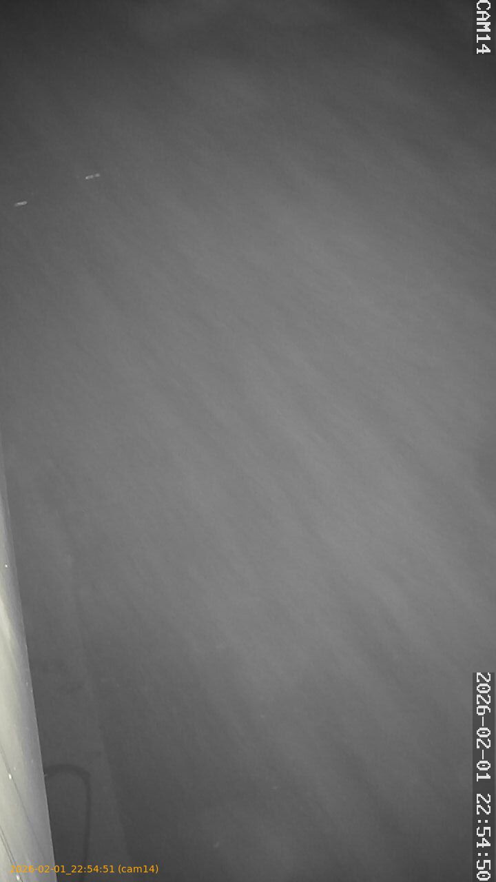 thumbnail_20260201225451