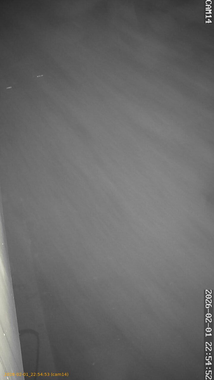 thumbnail_20260201225453