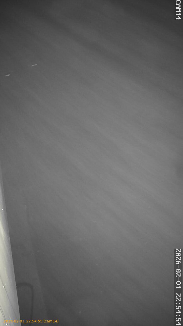 thumbnail_20260201225455