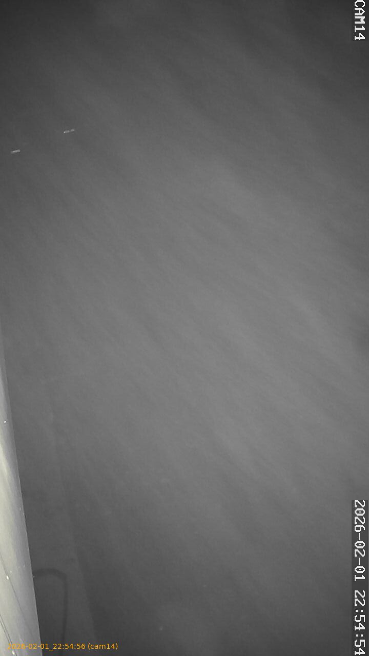 thumbnail_20260201225456