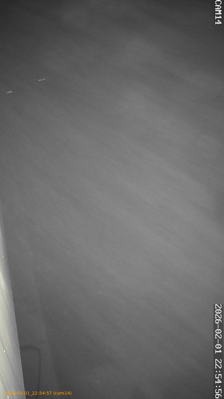 thumbnail_20260201225457